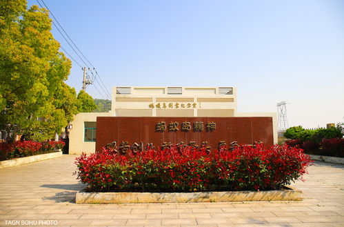 打卡舟山小众路线,悠享碧海蓝天的静谧滨海小城