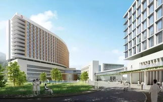 河源未来城市发展核心在哪 深河人民医院 华南城学校等项目有新进展