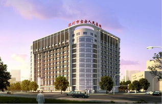 深圳宝安人民医院预约要收费吗