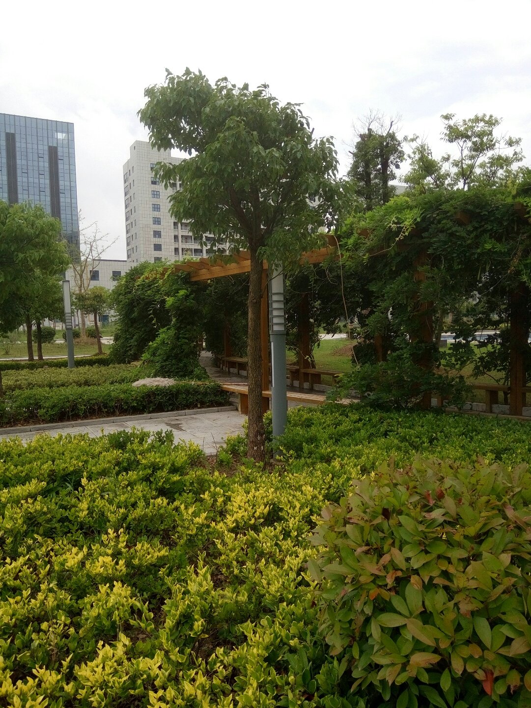 盐城市亭湖区人民医院 便捷医疗与交通的完美结合